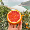 『秭归中华红橙』鲜甜爆汁，清爽解腻，富含天然茄红素、花青素 商品缩略图4