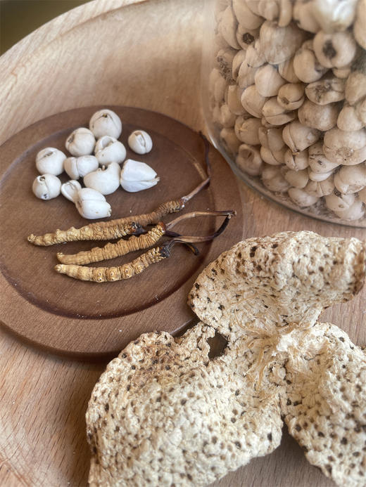 藏贝母陈皮虫草茶<1月量> 平喘止咳恢复元气 商品图2