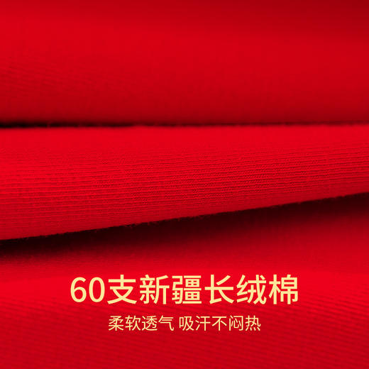 XY-H1212   本命年大红60支精梳棉高腰三角裤透气抗菌裆大码 商品图3