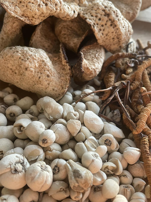 藏贝母陈皮虫草茶<1月量> 平喘止咳恢复元气 商品图3