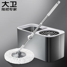 【大卫 拖把专家】D5 拖把不锈钢双驱动免手洗旋转拖把桶甩干地拖墩布