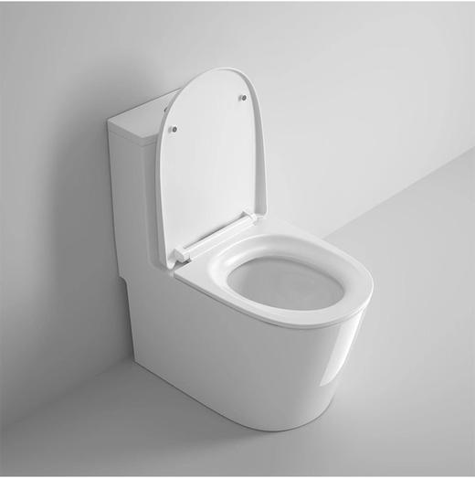 帝富龙 坐便器 9034   （30-35-40坑距通用） 商品图3