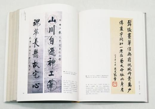 《张大千张善子研究》，16开，软精装，汪毅著，广西师范大学出版社2016年版，定价198，售价59元。品相95成。 商品图10