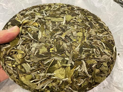 22春 涤尘  牡丹饼 桑海水库 商品图4