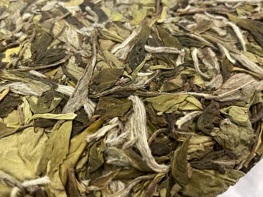 22春 涤尘  牡丹饼 桑海水库 商品图5