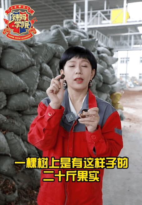 【山茶溯源行】【1瓶/4瓶礼盒装】大三湘有机浓香山茶油1L【品牌直发】 QTT-421-240123 商品图2