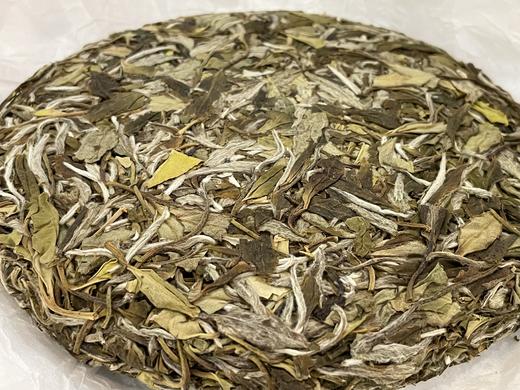 22春 喉吻润  白牡丹 磻溪镇大洋山 （荒野原料，松压饼） 商品图8