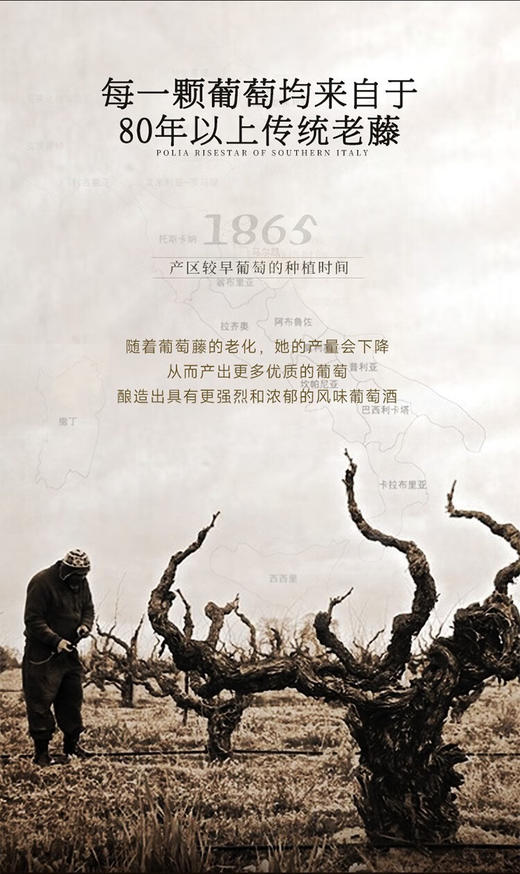 【今晚12点下架】皇家穆苏珍藏老藤干红葡萄酒   某猫某东四五百6瓶我们源头一手货源❗1箱省近200元❗ 299元/箱6瓶   80年老藤葡萄酿造🍹保留原味 三种明星葡萄混酿   商品图6