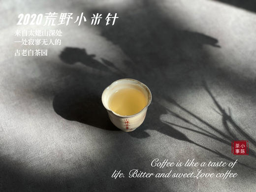【重磅推荐】2020荒野小米针（50克装），深藏太姥山高山上3年之久的春白茶神秘珍品 商品图4