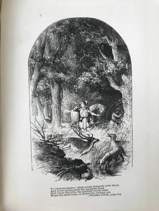 1878年 蒲柏诗集 约10余幅版画插图 漆布精装32开 商品图10