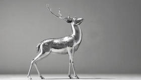 迎 Sika Deer No.4蔡志松