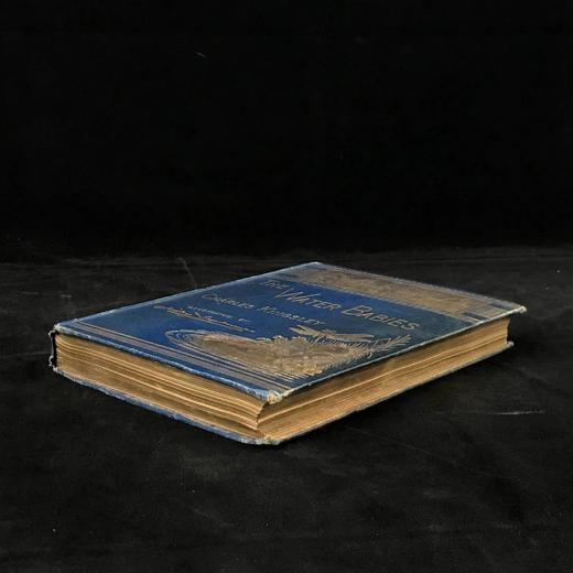 1886年 查尔斯·金斯利《水孩子》 100幅插图 漆布精装大32开 商品图1