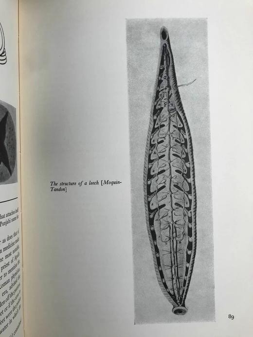 古代治疗艺术图集 数十幅插图 精装16开 商品图9