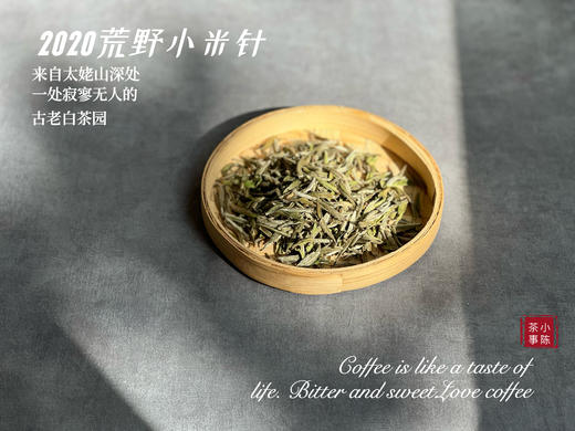 【重磅推荐】2020荒野小米针（50克装），深藏太姥山高山上3年之久的春白茶神秘珍品 商品图2