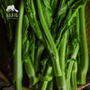 生态芥菜心 | 合作生产* Ecological mustard heart | Coproducted 商品缩略图7
