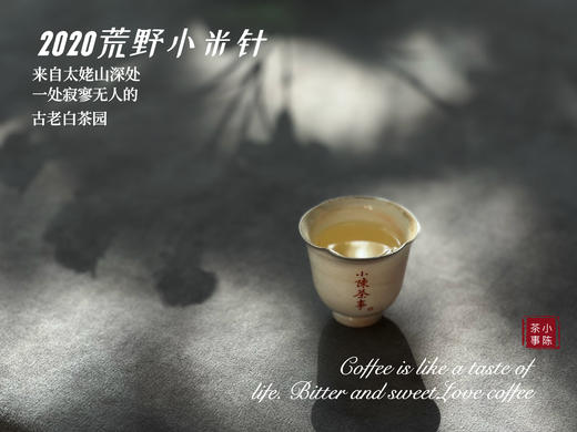 【重磅推荐】2020荒野小米针（50克装），深藏太姥山高山上3年之久的春白茶神秘珍品 商品图5