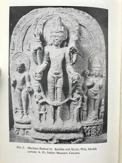 薄伽婆陀图像学研究 19幅插图 布面精装32开 商品图7