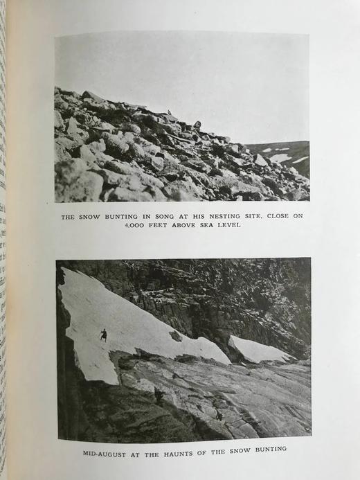 1914年 山脉的魅力 85幅插图 真皮精装18开 商品图8