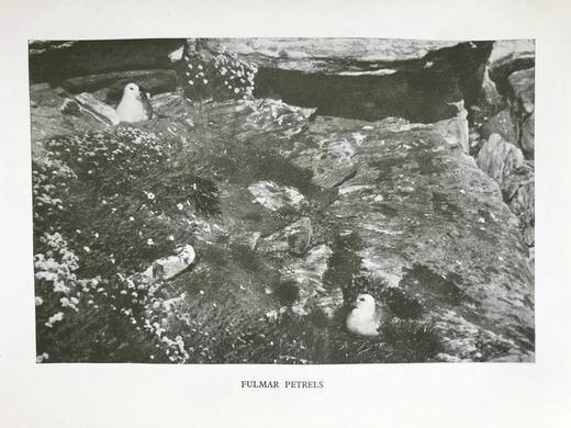 1931年 高地自然景观 26幅插图 漆布精装32开 商品图14