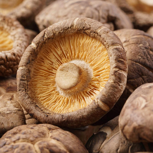 丽江香菇干  香营养丰富，香气沁脾，采用传统工艺制成，气温芬芳，营养美味！ 商品图2