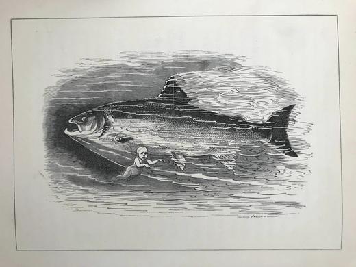 1886年 查尔斯·金斯利《水孩子》 100幅插图 漆布精装大32开 商品图12