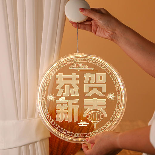 【LED圆盘3D春节彩灯】新年过年装饰灯小挂件2023兔年春节彩灯挂饰场景布置家用发光饰品 商品图4