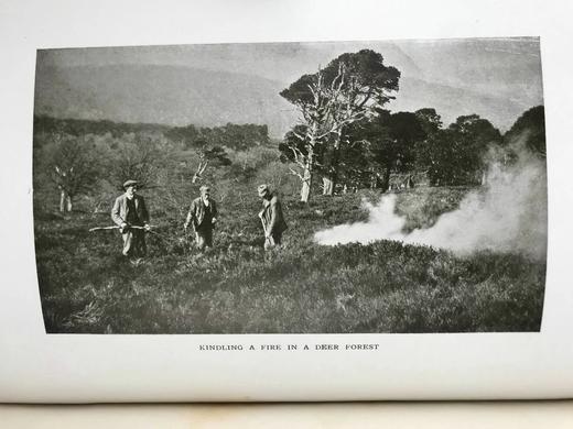 1914年 山脉的魅力 85幅插图 真皮精装18开 商品图9