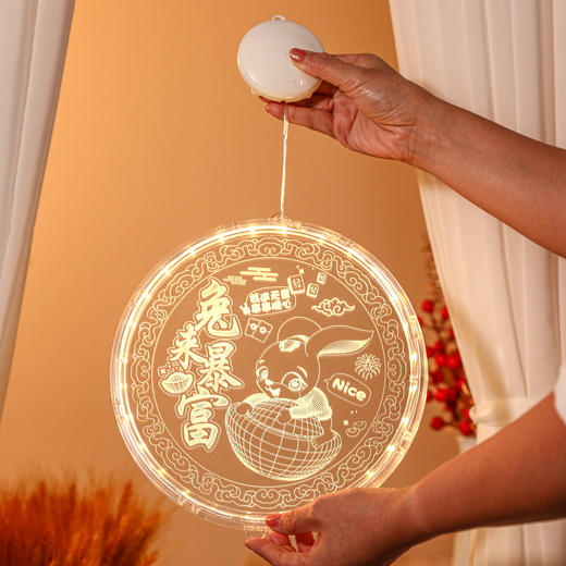 【LED圆盘3D春节彩灯】新年过年装饰灯小挂件2023兔年春节彩灯挂饰场景布置家用发光饰品 商品图8