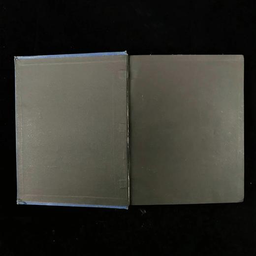 1886年 查尔斯·金斯利《水孩子》 100幅插图 漆布精装大32开 商品图3