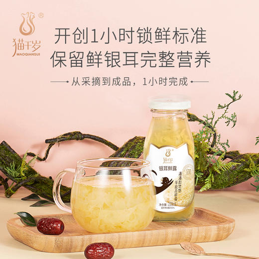 猫千岁即食银耳鲜露220ML*6瓶/箱 商品图3