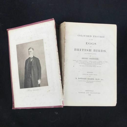 含藏书票！1896年 英国鸟卵图集 59页彩色插图 漆布精装16开 商品图3