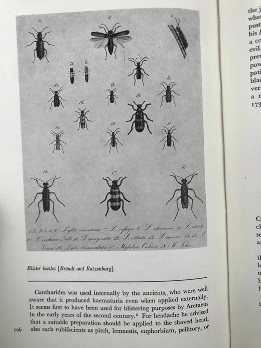 古代治疗艺术图集 数十幅插图 精装16开 商品图6