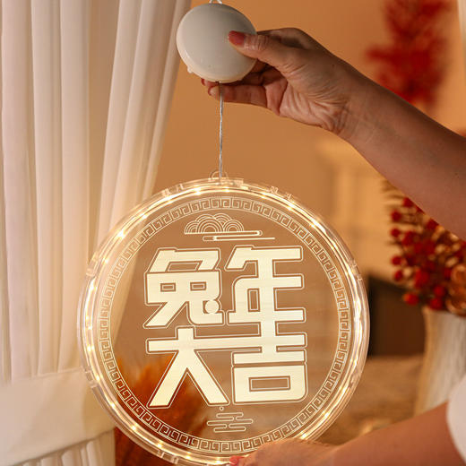 【LED圆盘3D春节彩灯】新年过年装饰灯小挂件2023兔年春节彩灯挂饰场景布置家用发光饰品 商品图7