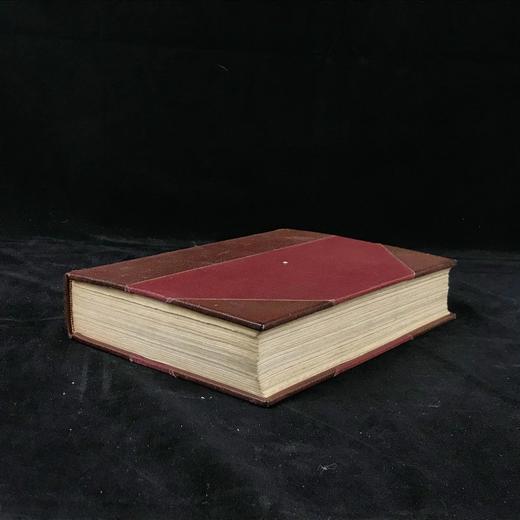 1914年 山脉的魅力 85幅插图 真皮精装18开 商品图1