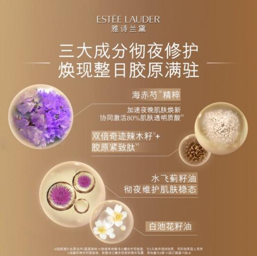 【品牌热卖】Estee Lauder雅诗兰黛多效智妍晚霜50ml 商品图1