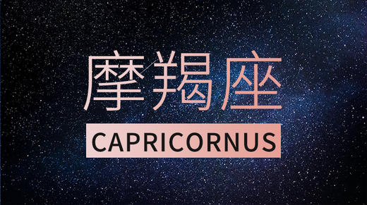 摩羯座 商品图0