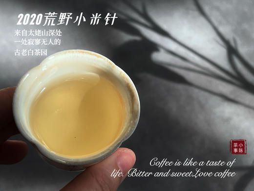 【重磅推荐】2020荒野小米针（50克装），深藏太姥山高山上3年之久的春白茶神秘珍品 商品图6