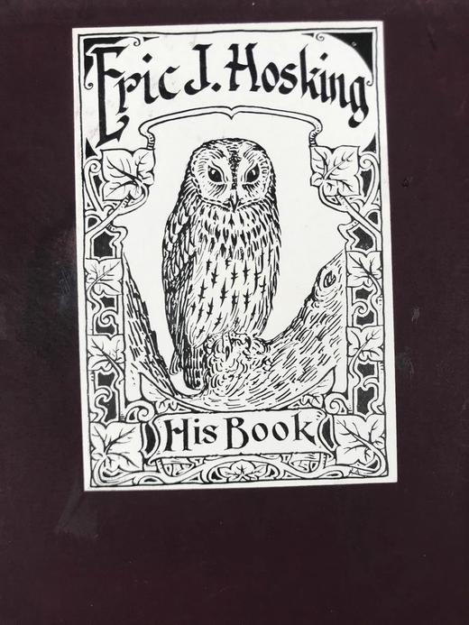 含藏书票！1896年 英国鸟卵图集 59页彩色插图 漆布精装16开 商品图2