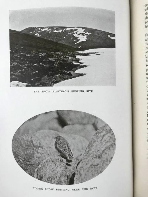 1914年 山脉的魅力 85幅插图 真皮精装18开 商品图7