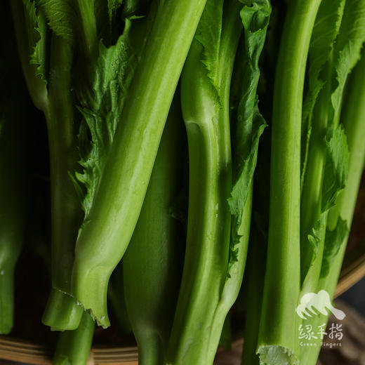 生态芥菜心 | 合作生产* Ecological mustard heart | Coproducted 商品图5