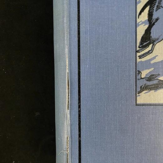 1936年 英国鸟类图集 43幅插图 漆布精装16开 商品图2