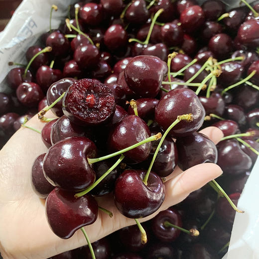 2J进口车厘子  （小件）2.5kg 商品图3