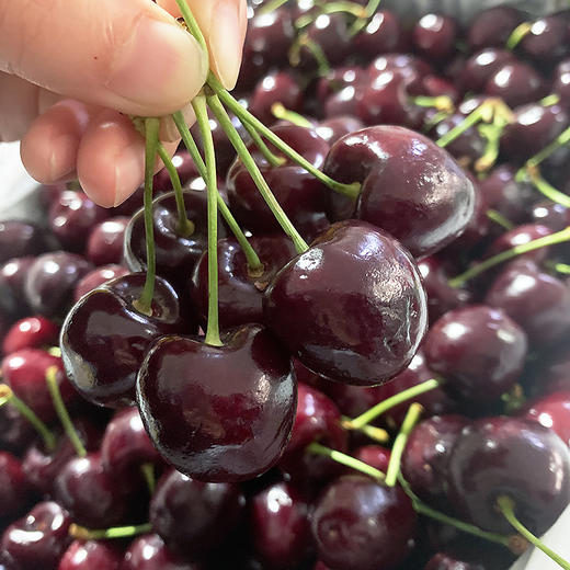 2J进口车厘子  （小件）2.5kg 商品图1