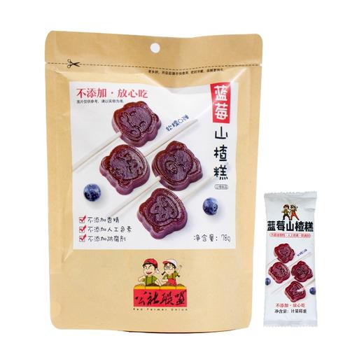 公社山楂棒棒糖小熊动物蓝莓果粒0添加儿童条片果丹皮独立包装 商品图0