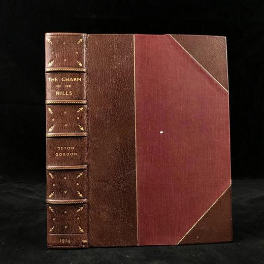 1914年 山脉的魅力 85幅插图 真皮精装18开 商品图0