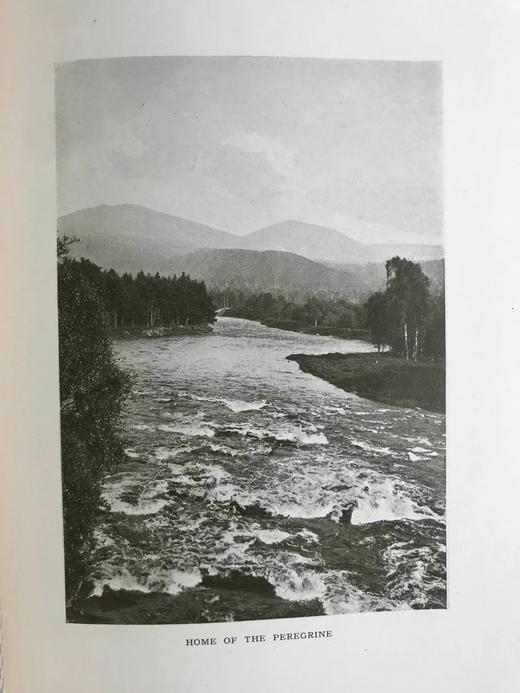 1914年 山脉的魅力 85幅插图 真皮精装18开 商品图12