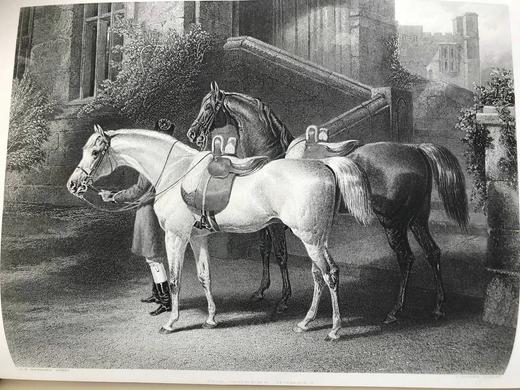 约19世纪后期 维多利亚女王传（全2卷合订本） 约20幅插图 真皮精装大16开 商品图12