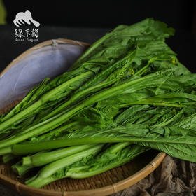 生态芥菜心 | 合作生产* Ecological mustard heart | Coproducted