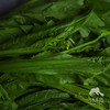 生态芥菜心 | 合作生产* Ecological mustard heart | Coproducted 商品缩略图6