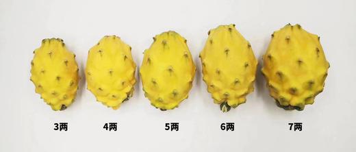 红夫人商城 海南空运 燕窝果 水果届的爱马仕 8个/约3.5斤装 商品图7